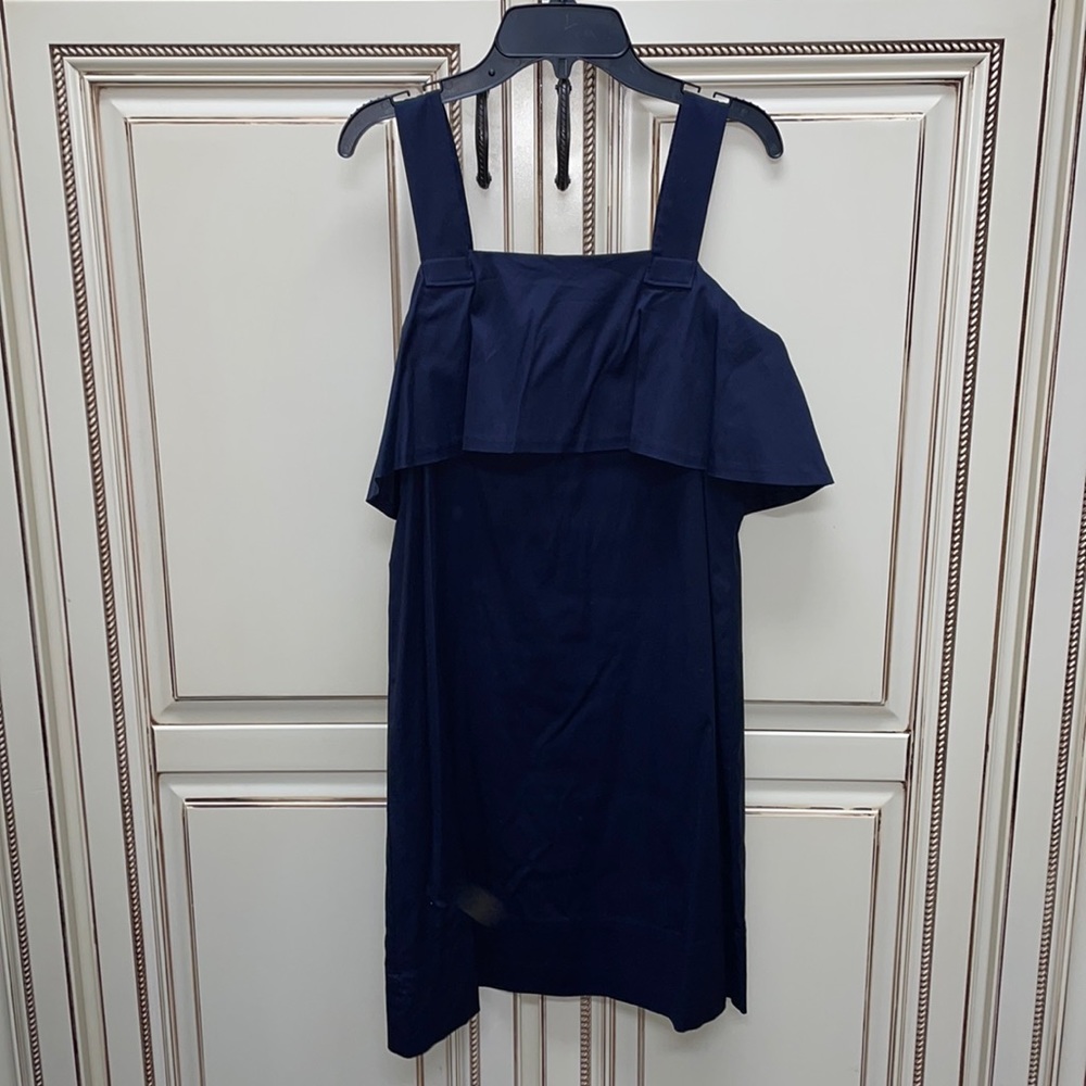 Ann Taylor ruffle a line dress